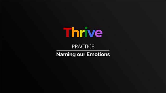 Thrive class 12 - Naming our Emotions